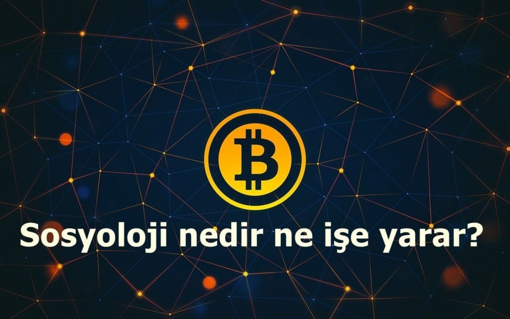 Bitcoin Nedir Ne E Yarar Finanspara